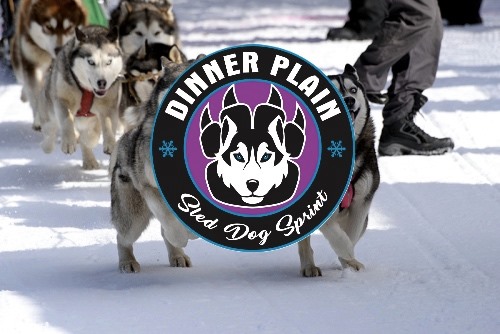 Dinner Plain Sled Dog Sprint