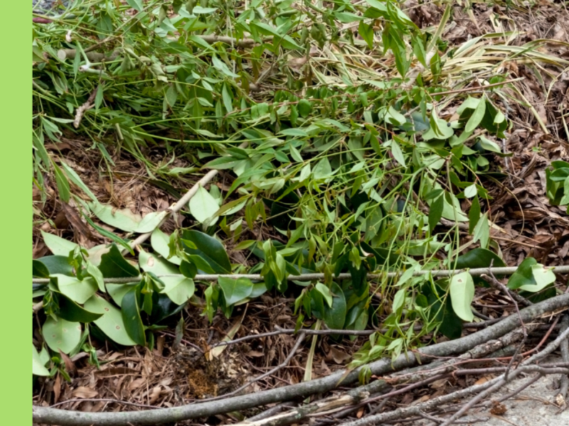 Green Waste