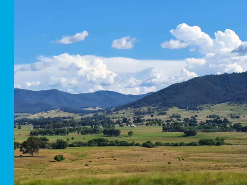 Landscape of Dederang